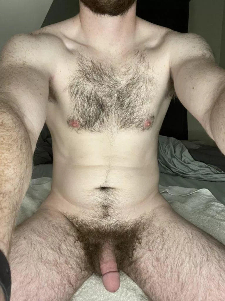 Happy Tuesday! Happy Tuesday!