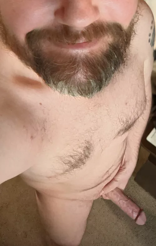 Happy Tuesday, wanna come over for tacos? [42]