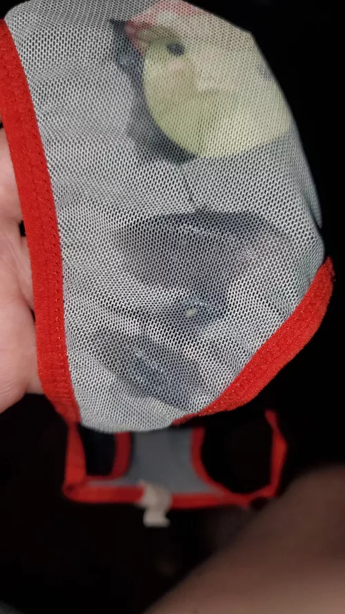 Happy V day 🤍🤍