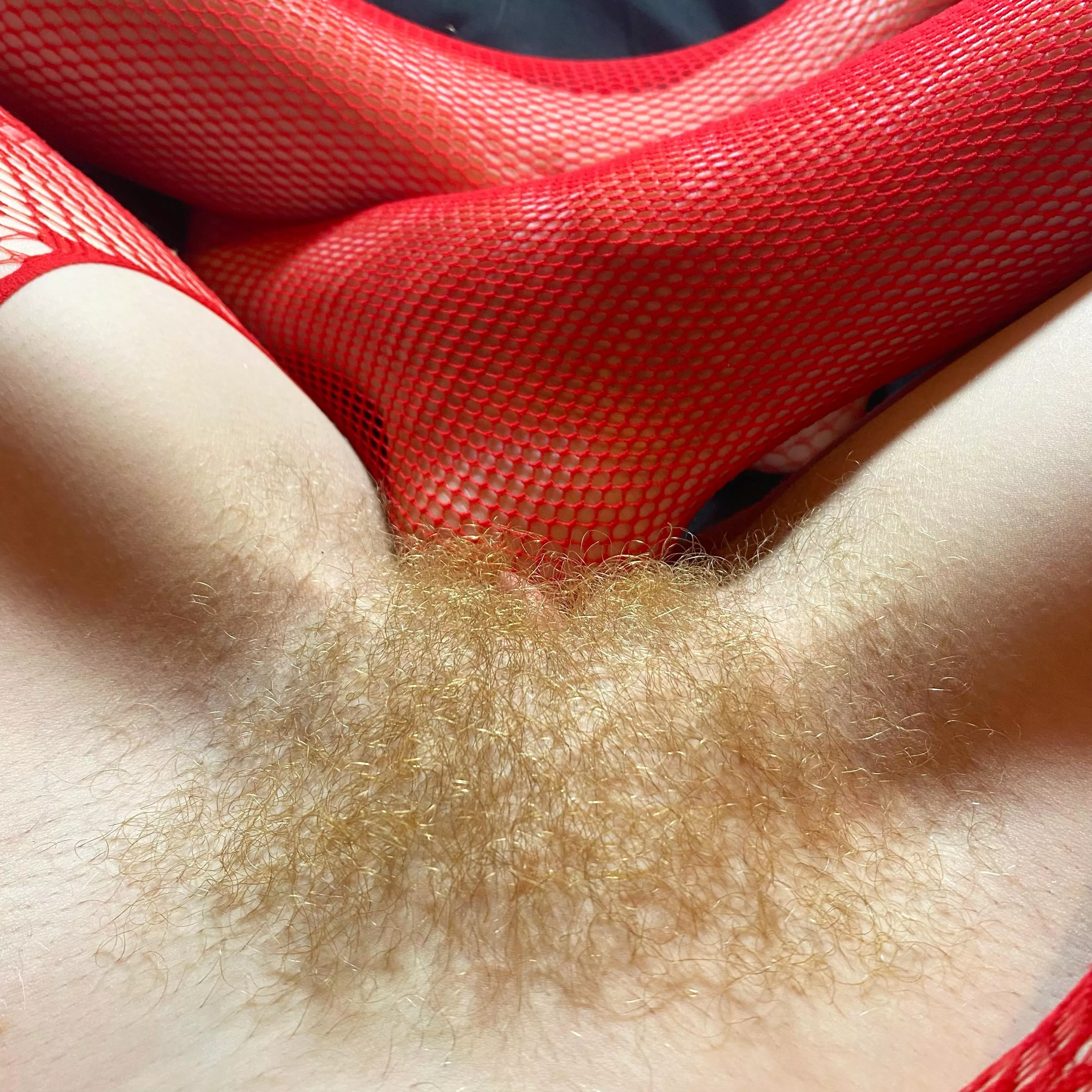Happy Valentine’s Day from my hairy red pussy :-))