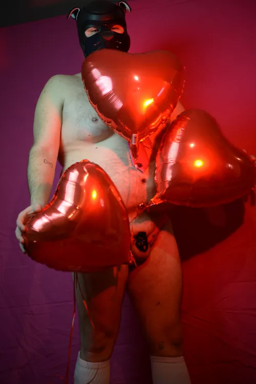 happy Valentine's Day pups