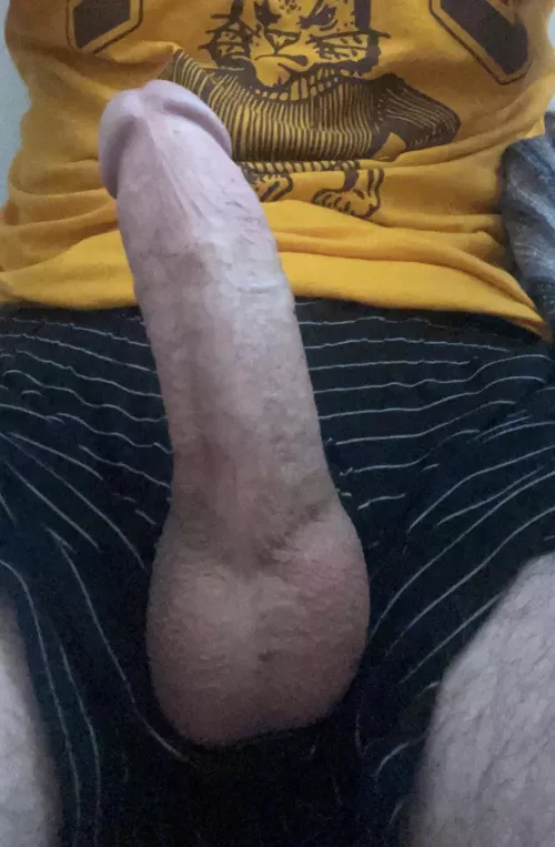 hard as a rock