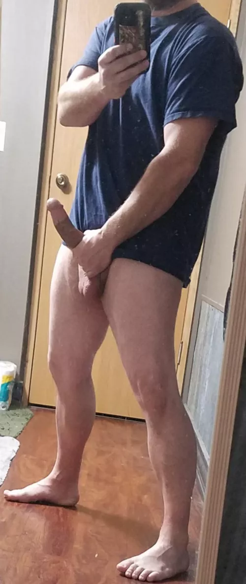 hard day's (37) hard day's (37)