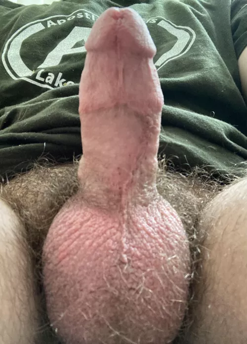 Hard hairy cock and ball sack. Let me know what you think