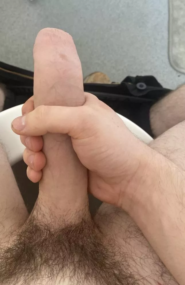 Hard on the toilet Hard on the toilet