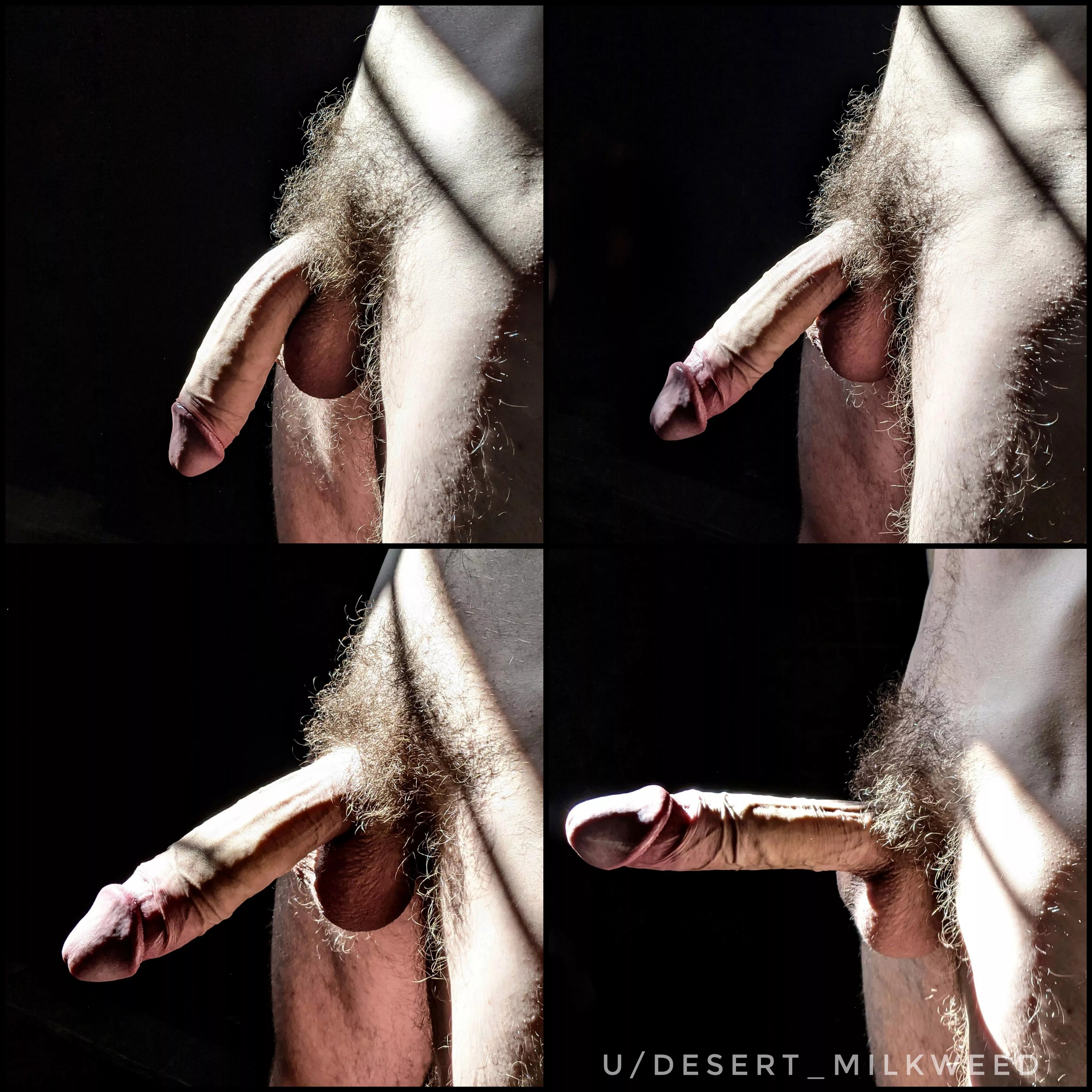 Hard, soft, or in between? I aim to please Hard, soft, or in between? I aim to please