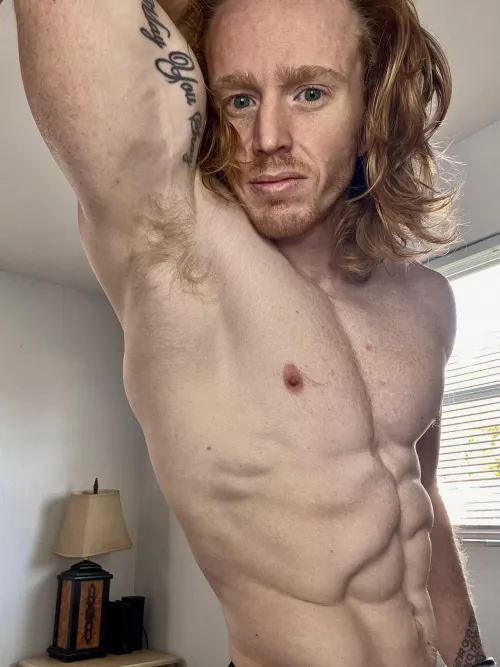 Hard to see ginger pits but I’ll give it my best shot 😅