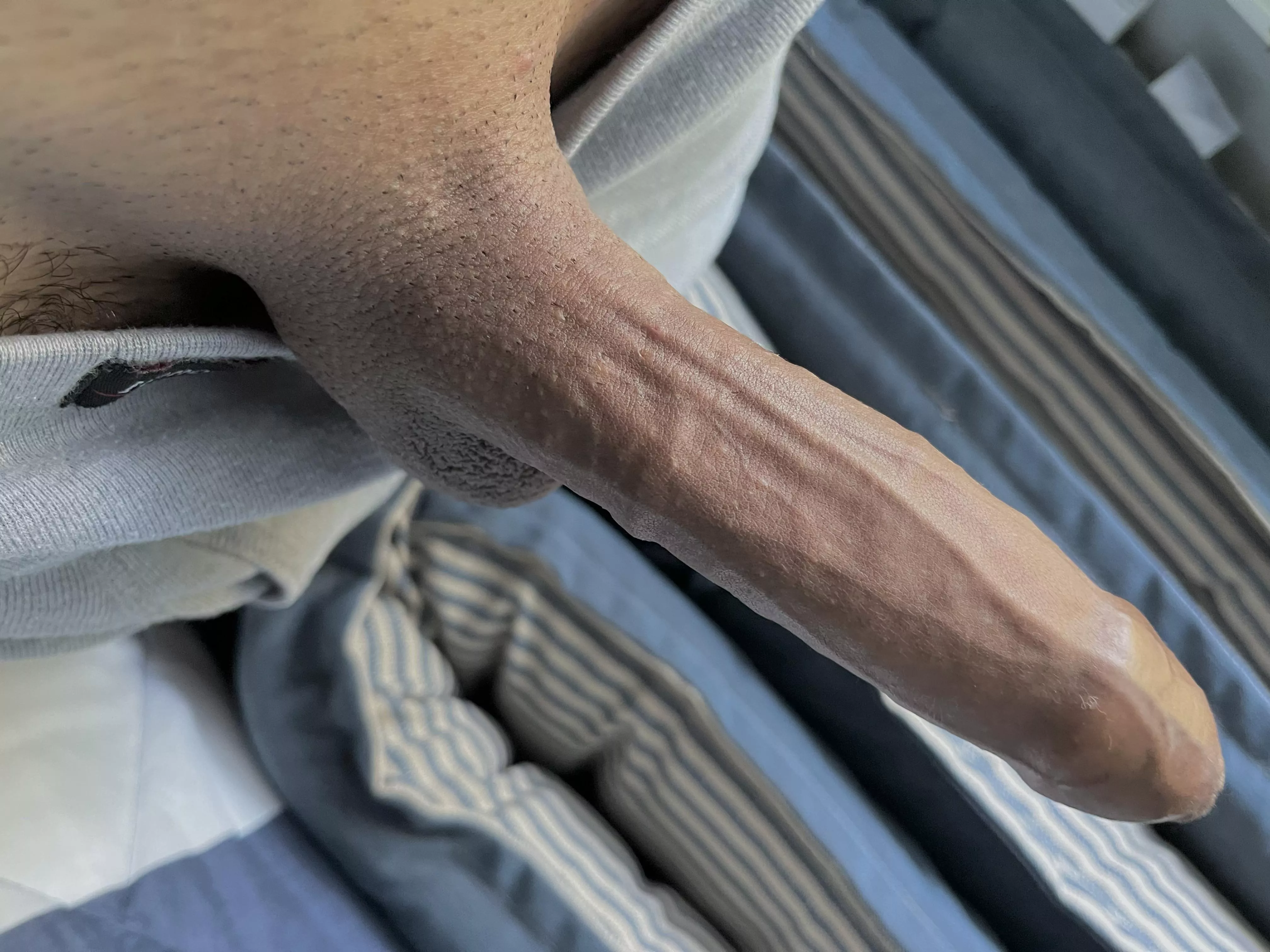 Hard uncut cock Hard uncut cock