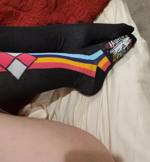 Harley all day eryday