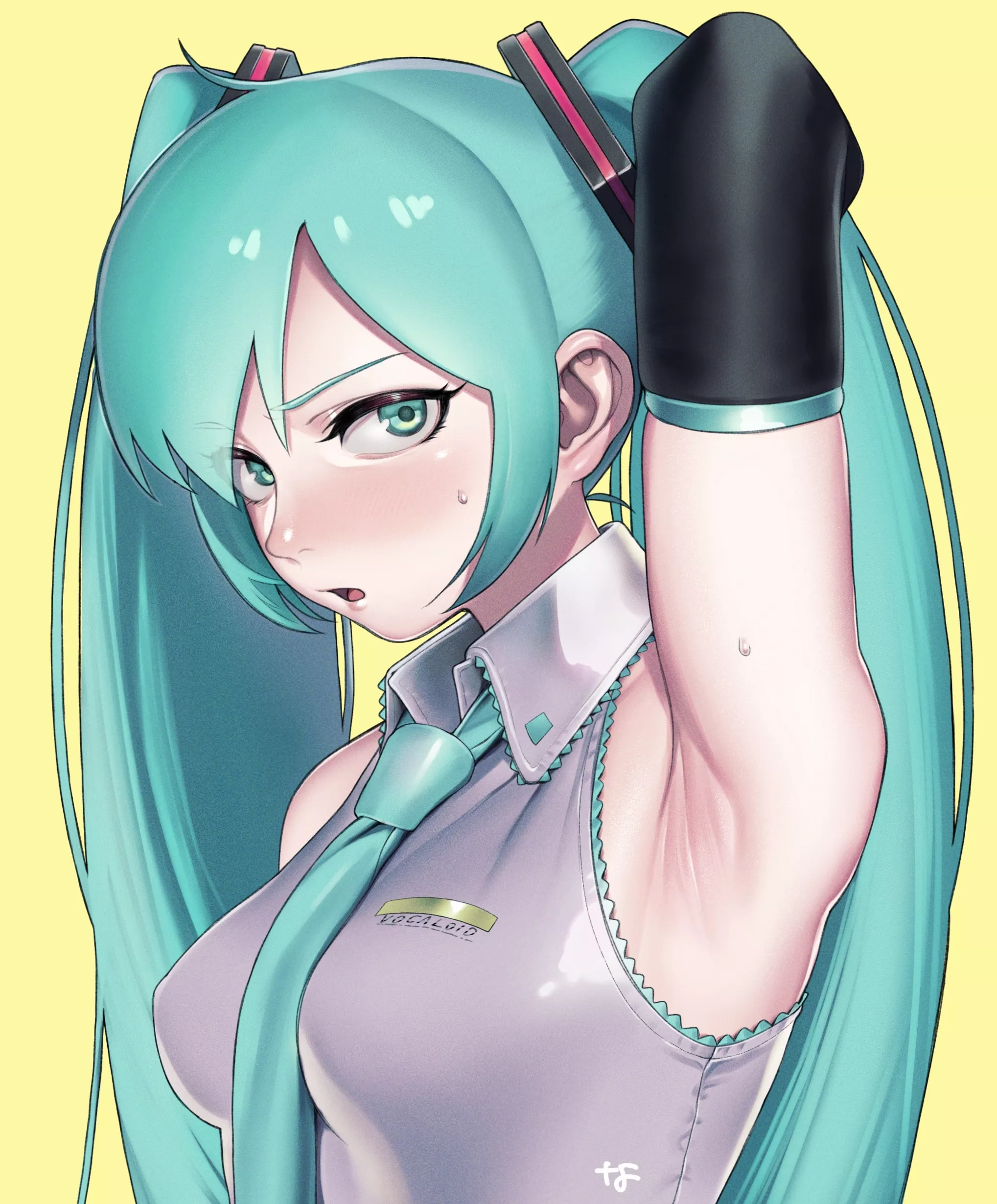 Hatsune Miku Hatsune Miku