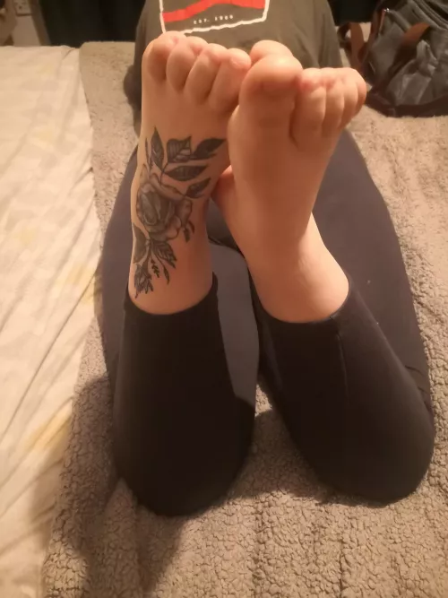 Have a good look before you start sucking on my toes