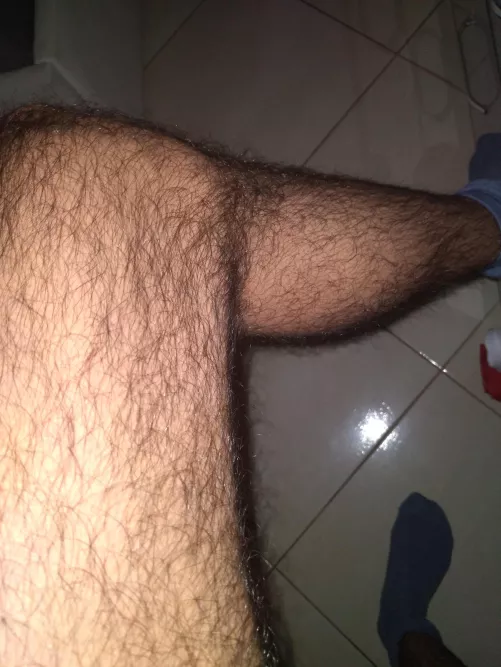 Have a great day, hairy bros!