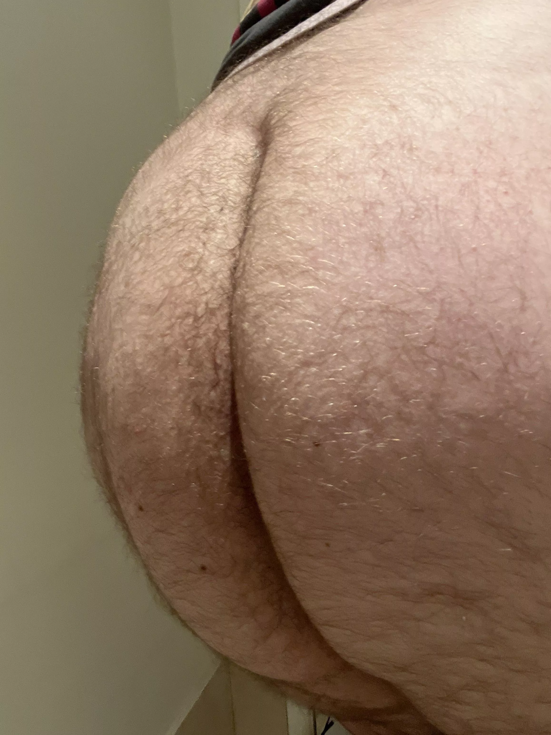 Have always been a bit self conscious about being a bear, love being with bear bottom chasers who take control though Have always been a bit self conscious about being a bear, love being with bear bottom chasers who take control though