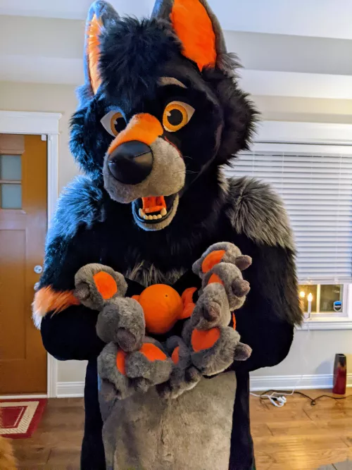 Have some fruit! 🍊