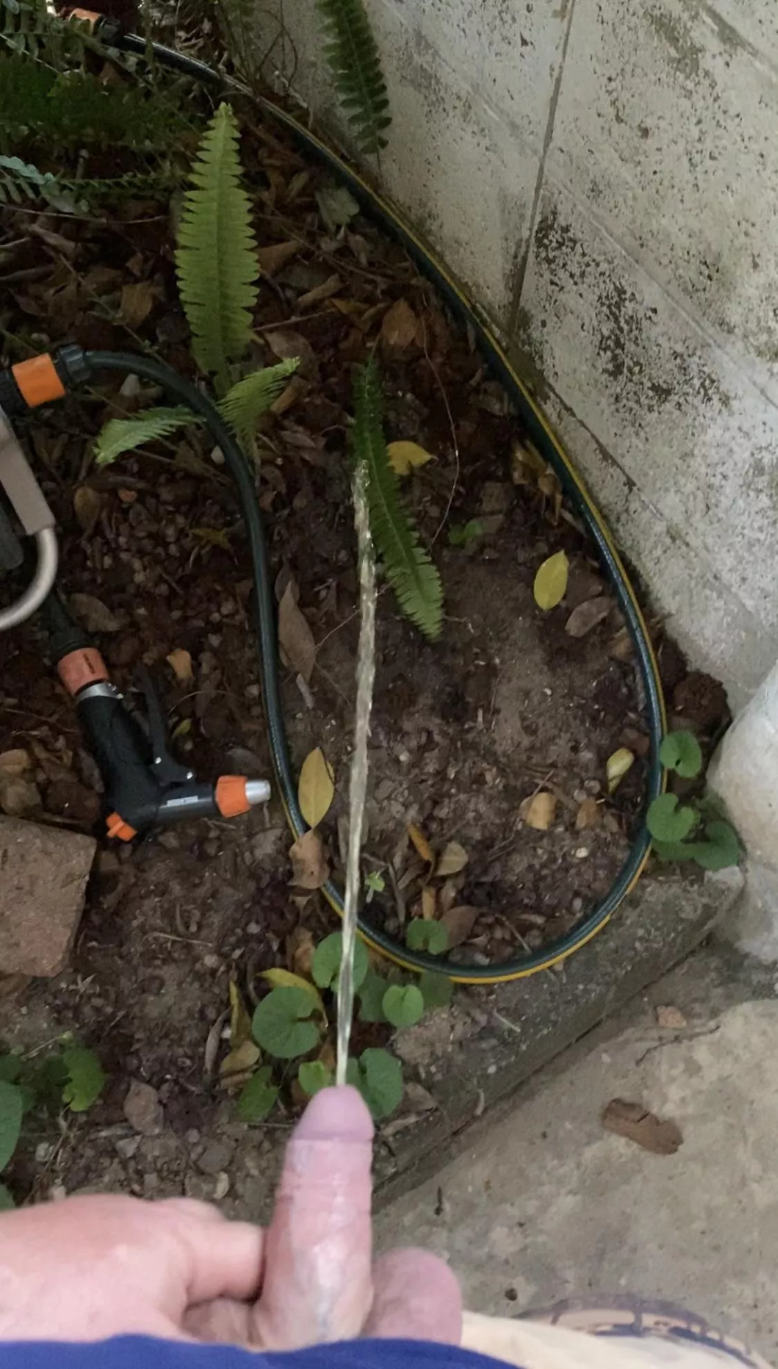 Have to water the garden after all this hot weather Have to water the garden after all this hot weather