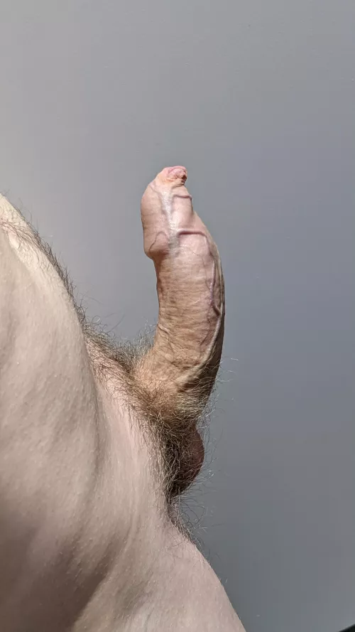 Have you missed me? I grew my hair out for you...