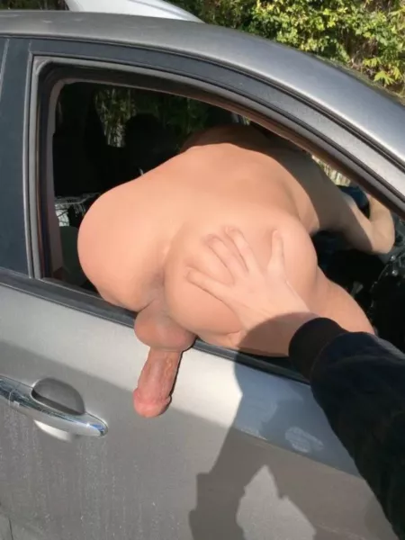 He Arrived in my driveway like this π¦