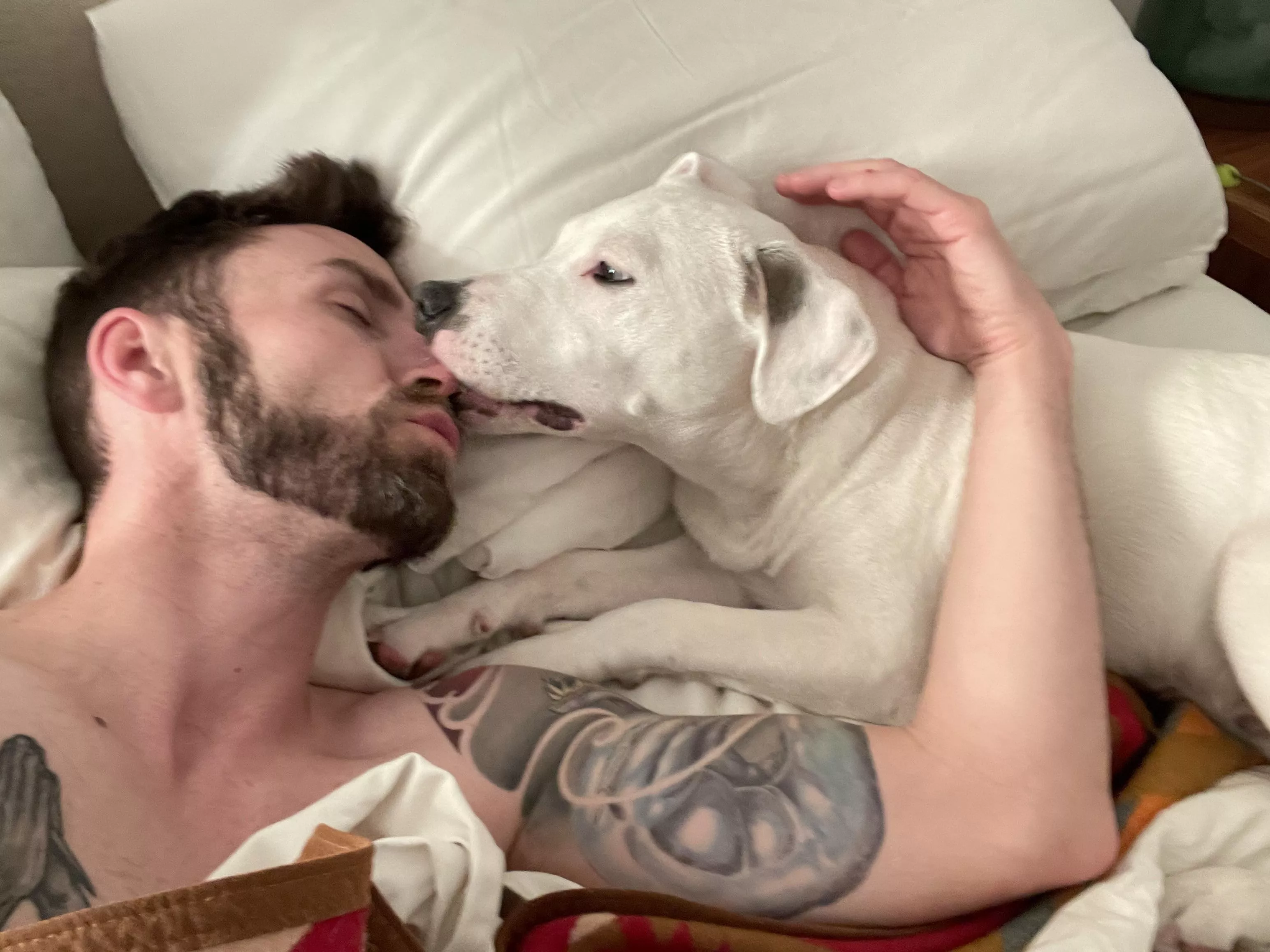 He sits diligently by me when I stay up late to game, then wakes me up every morning