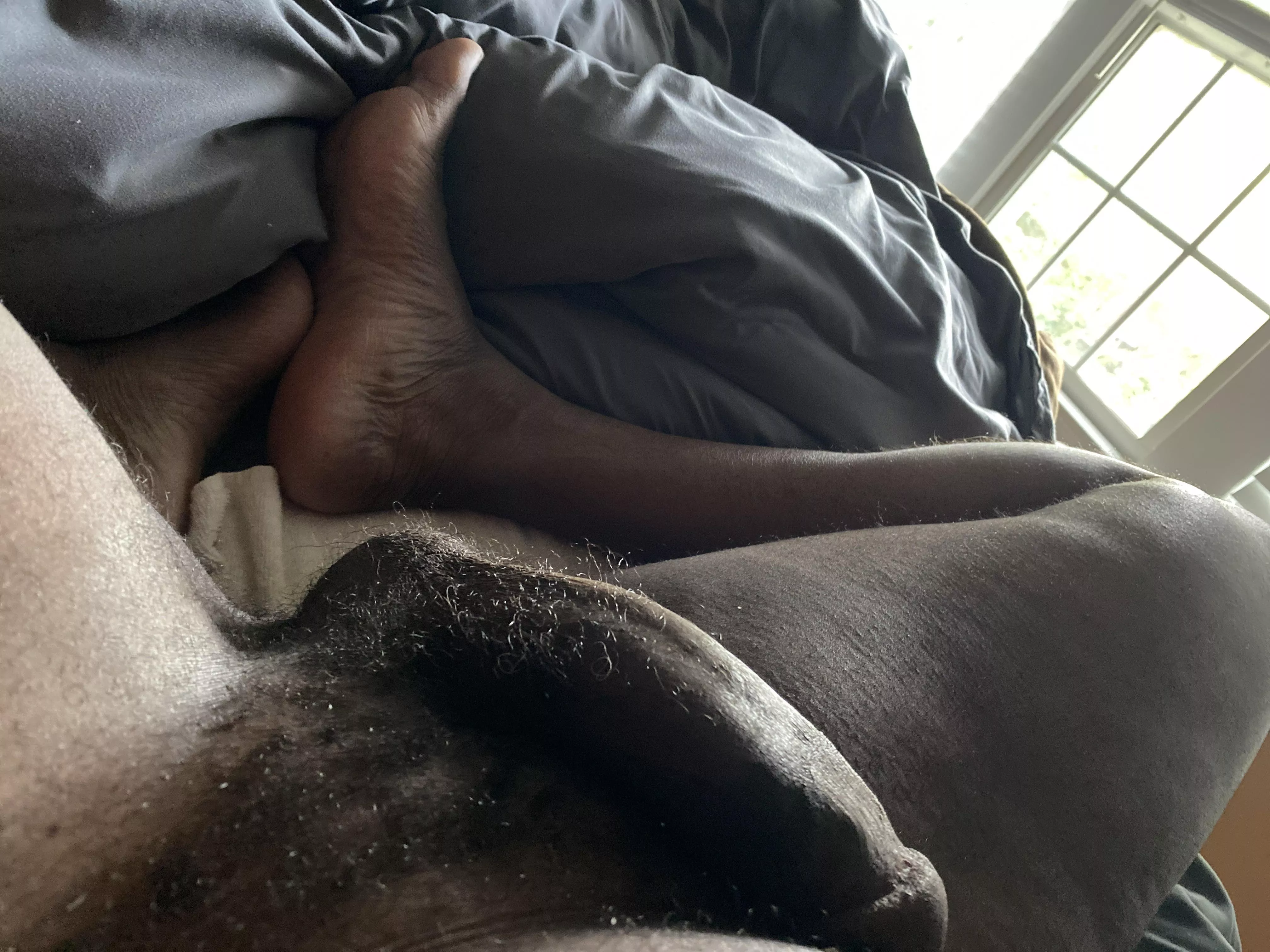 He wants a friend. He wants a friend.