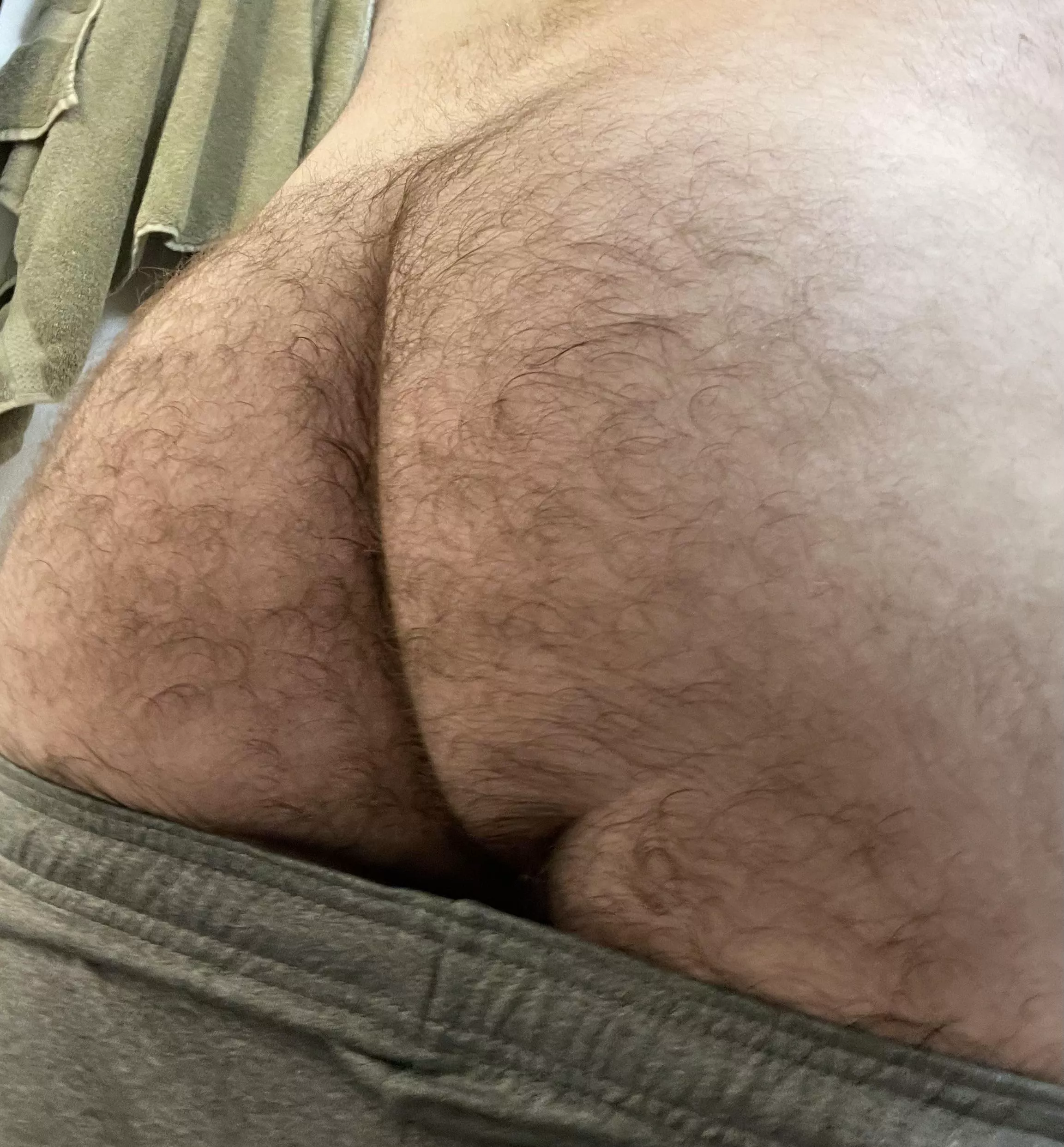 Hairy Ass Gallery