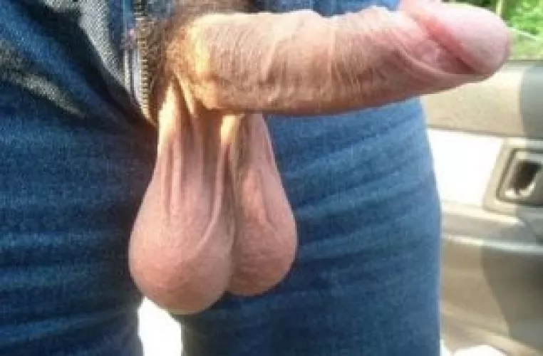 Heavy bull balls in public