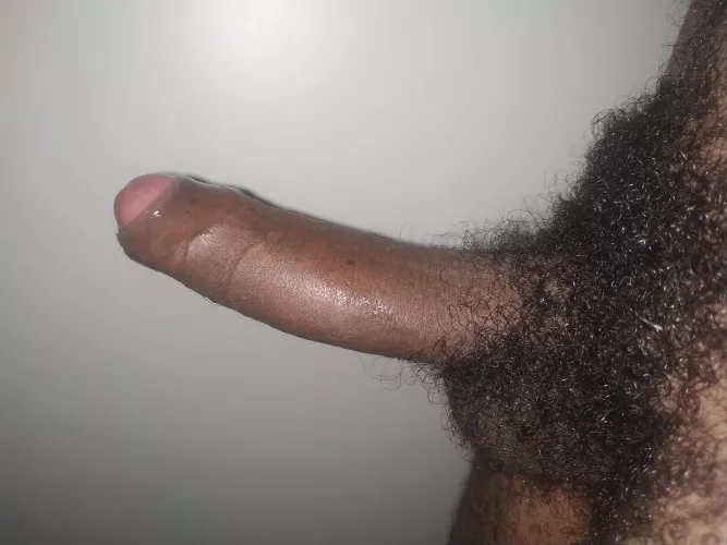 Heavy pubes and black uncut dick