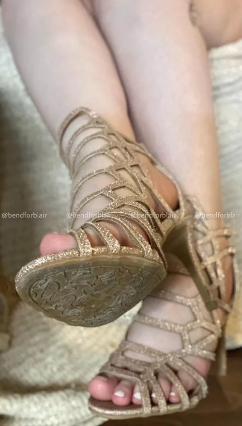 heels in your face heels in your face