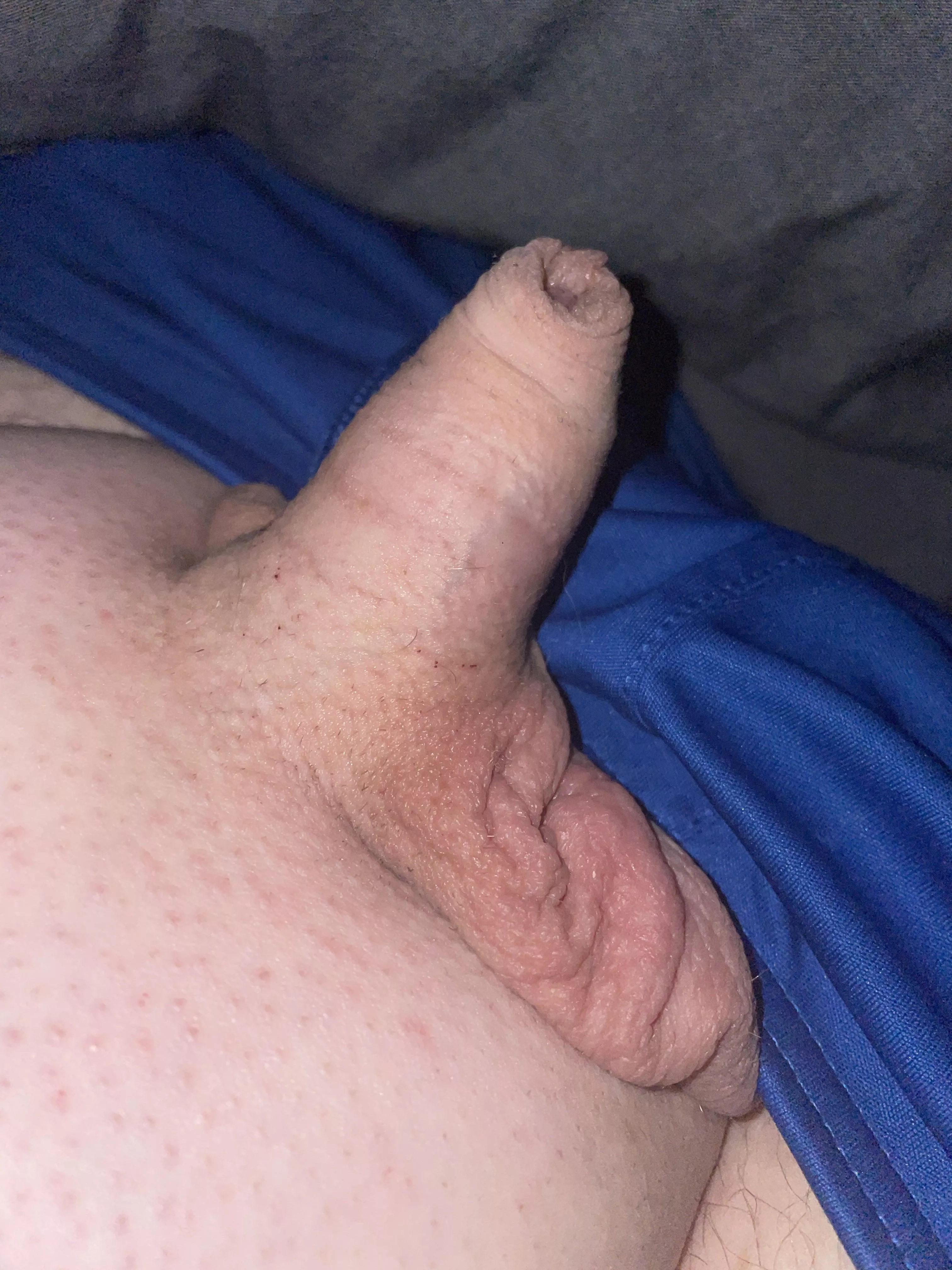 Hello (40)