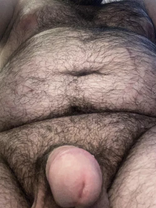 Hello again lovely bears