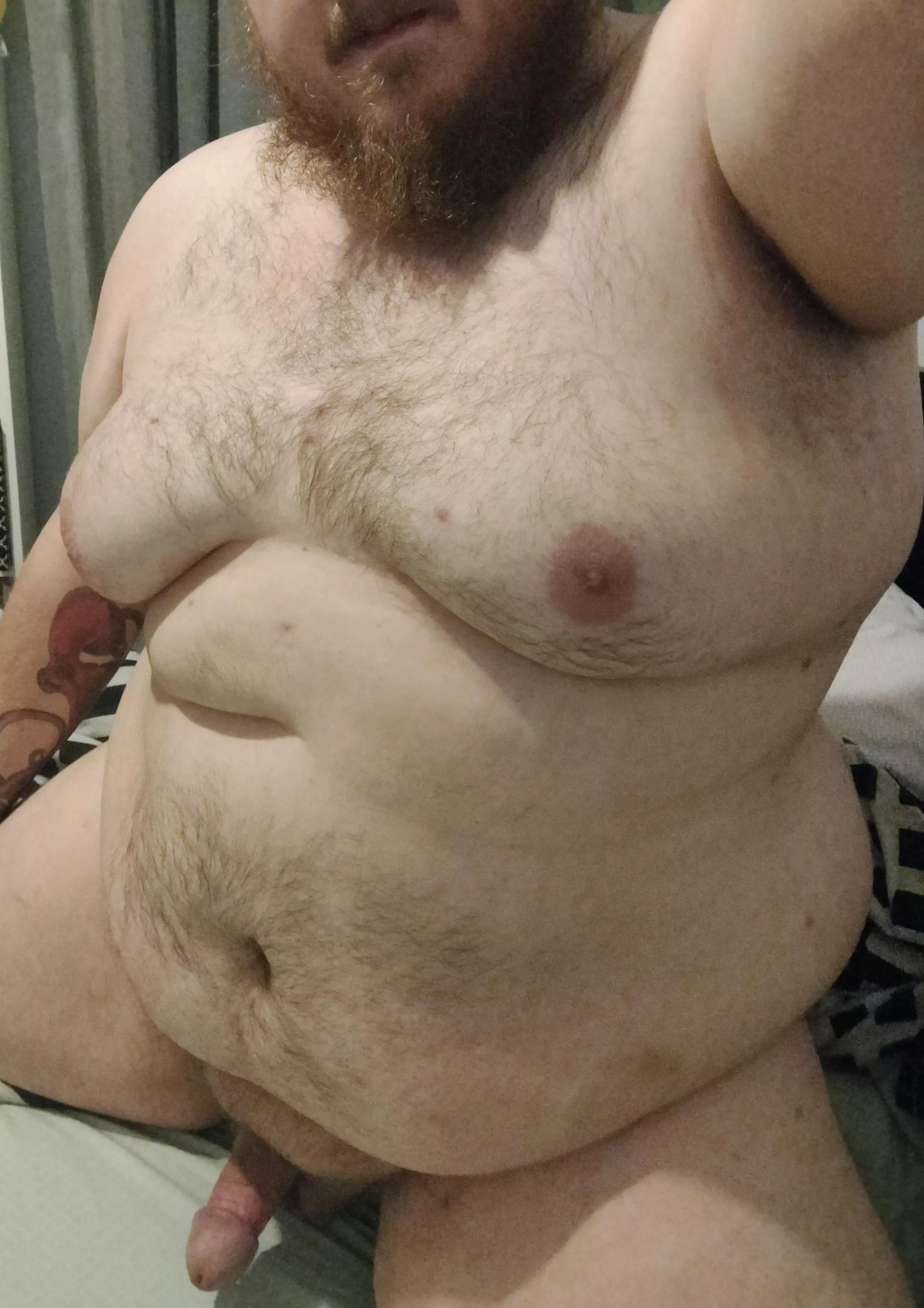 hello fellow night owls