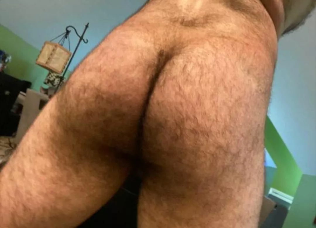 Hairy Butt Photo