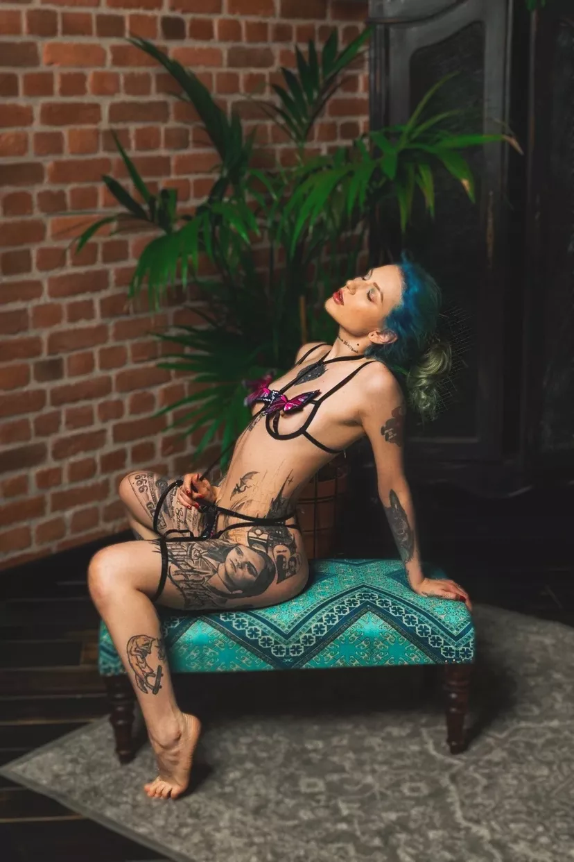 hello my darlings hello my darlings