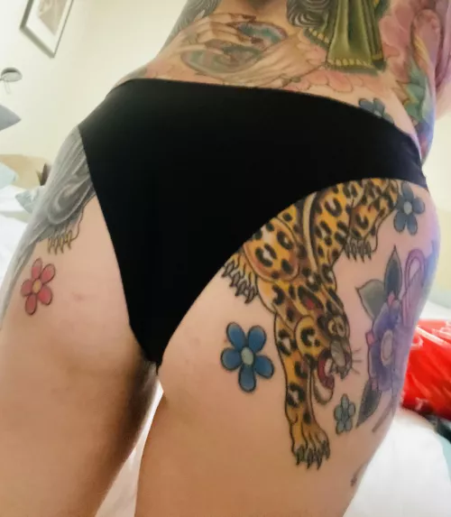 Hello pussy cat!!