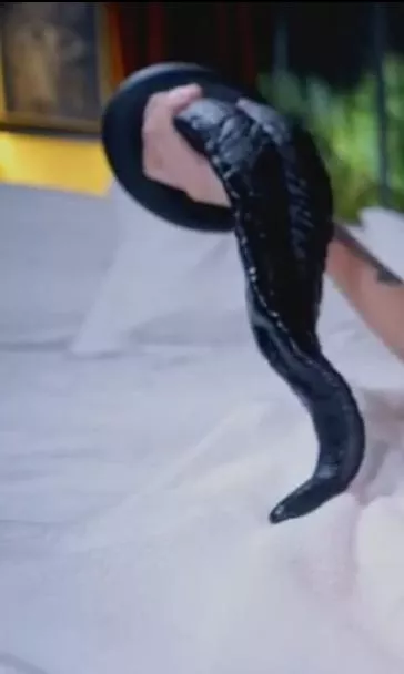 Help finding tongue/tentacle dildo