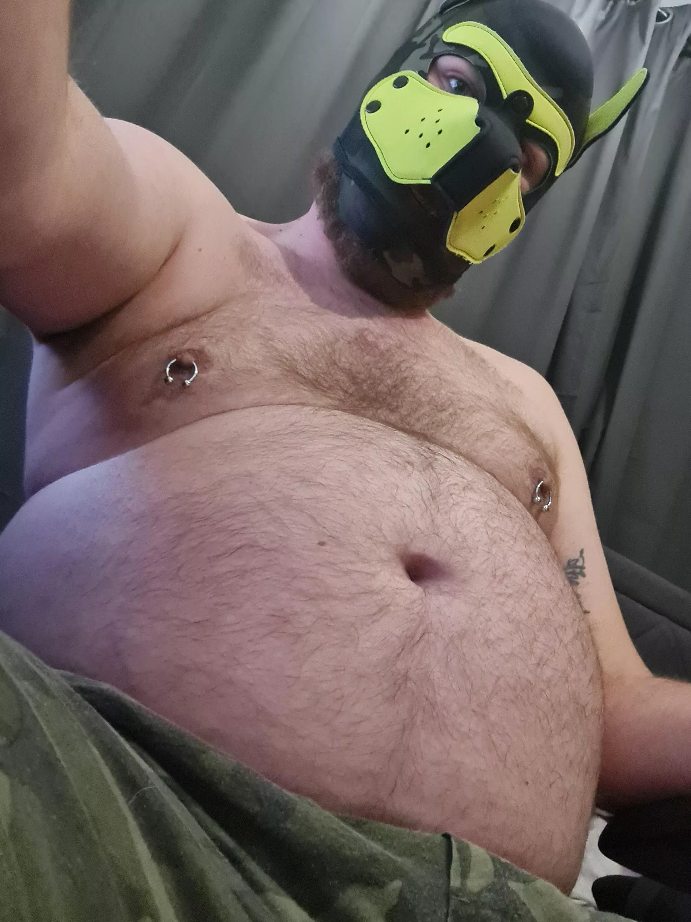 Help! Puppy has eaten too many treats and requires belly rubs!!!