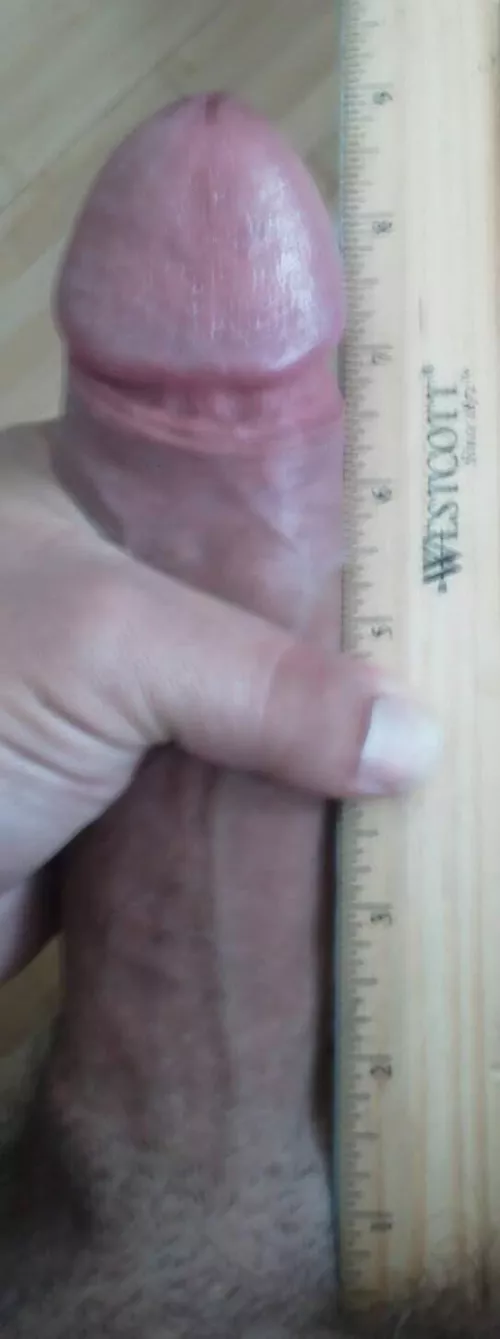 Here kitty kitty!!! Wanna play?