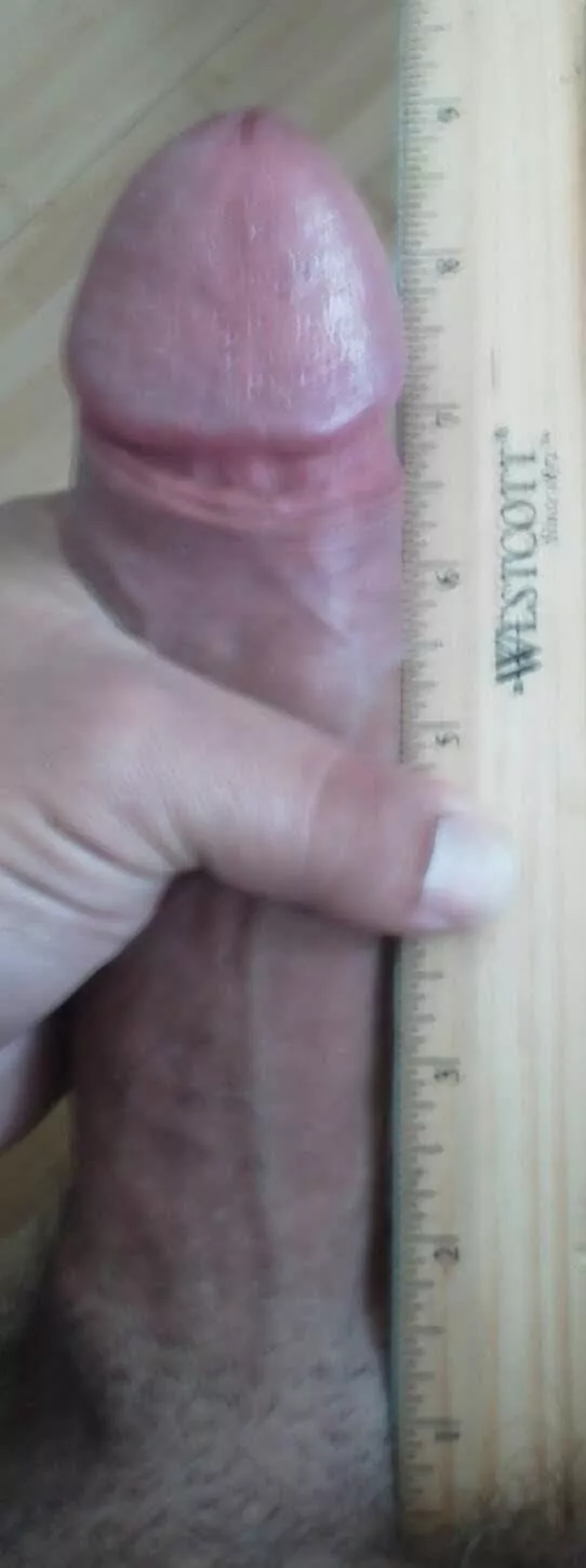 Here kitty kitty!!! Wanna play?