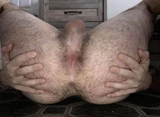 Here’s my spread hairy man ass for you