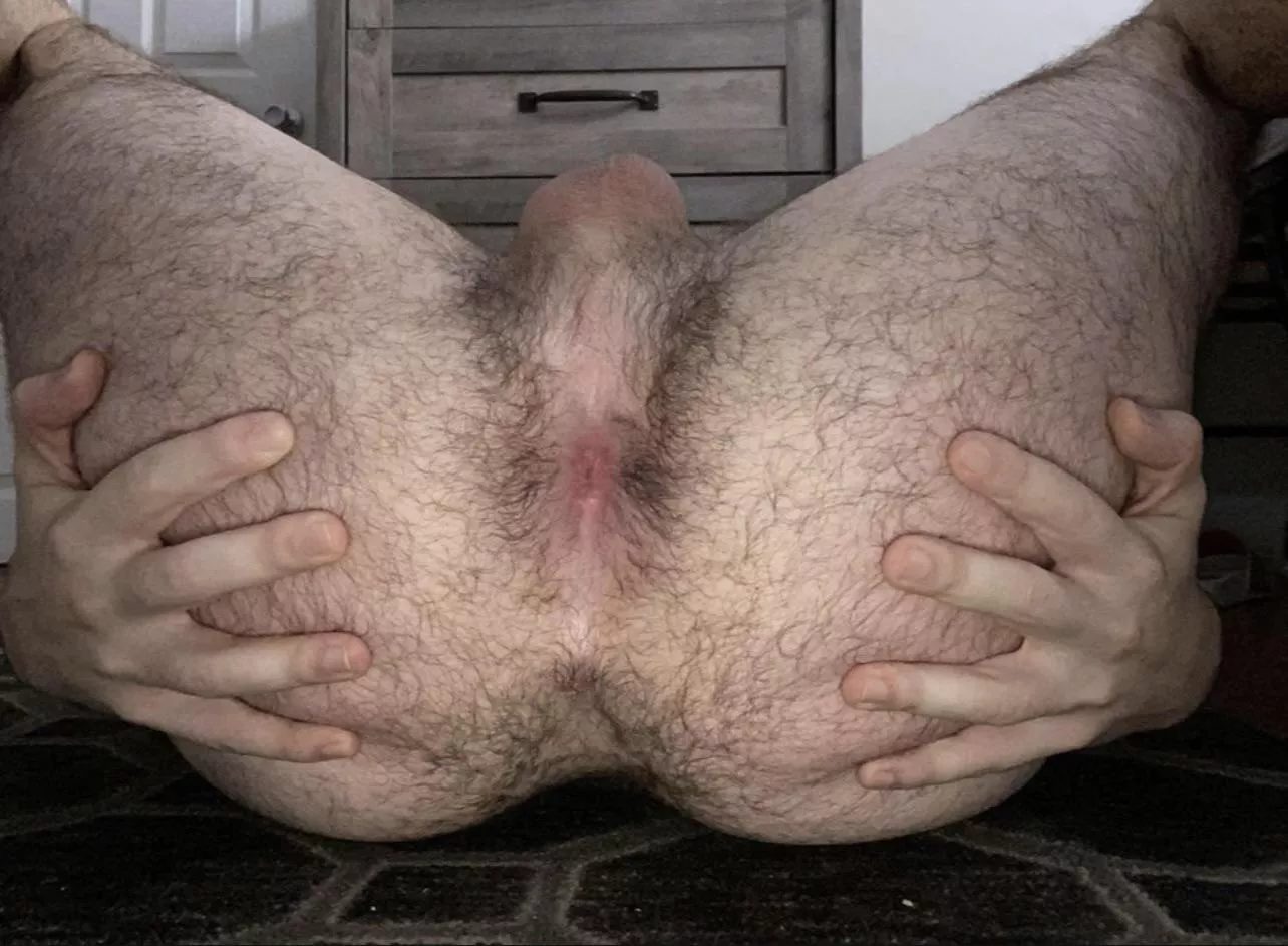 Here’s my spread hairy man ass for you