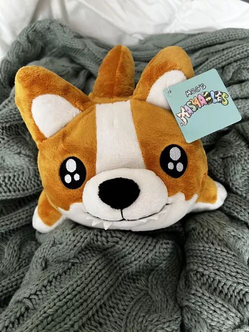 He’s finally here!!! I’m so excited!!!! 😍😍😍 What should I name him? 🐶🦈