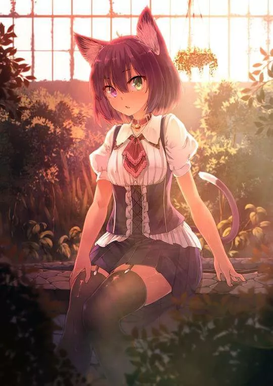 Heterochromia and ZR in a garden Heterochromia and ZR in a garden