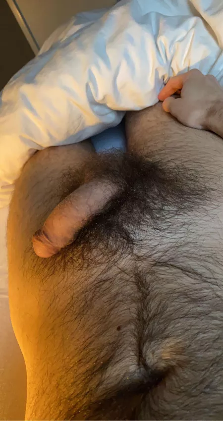 Hey all. Hereβs my furry cock
