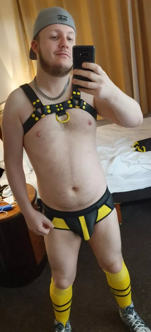 Hey everyone! young kinky cub here saying hi Hey everyone! young kinky cub here saying hi
