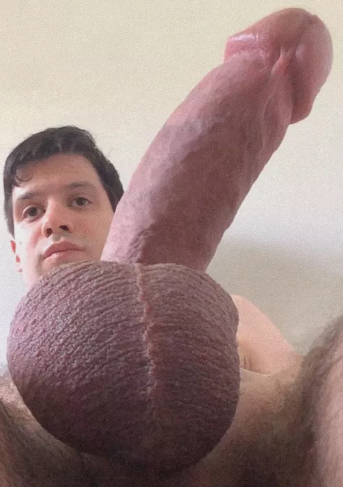 Hey ladies! Wanna bounce on this?