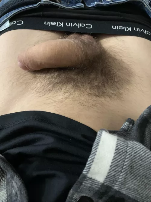Hi Hi
