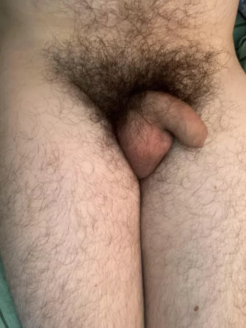 Hi π