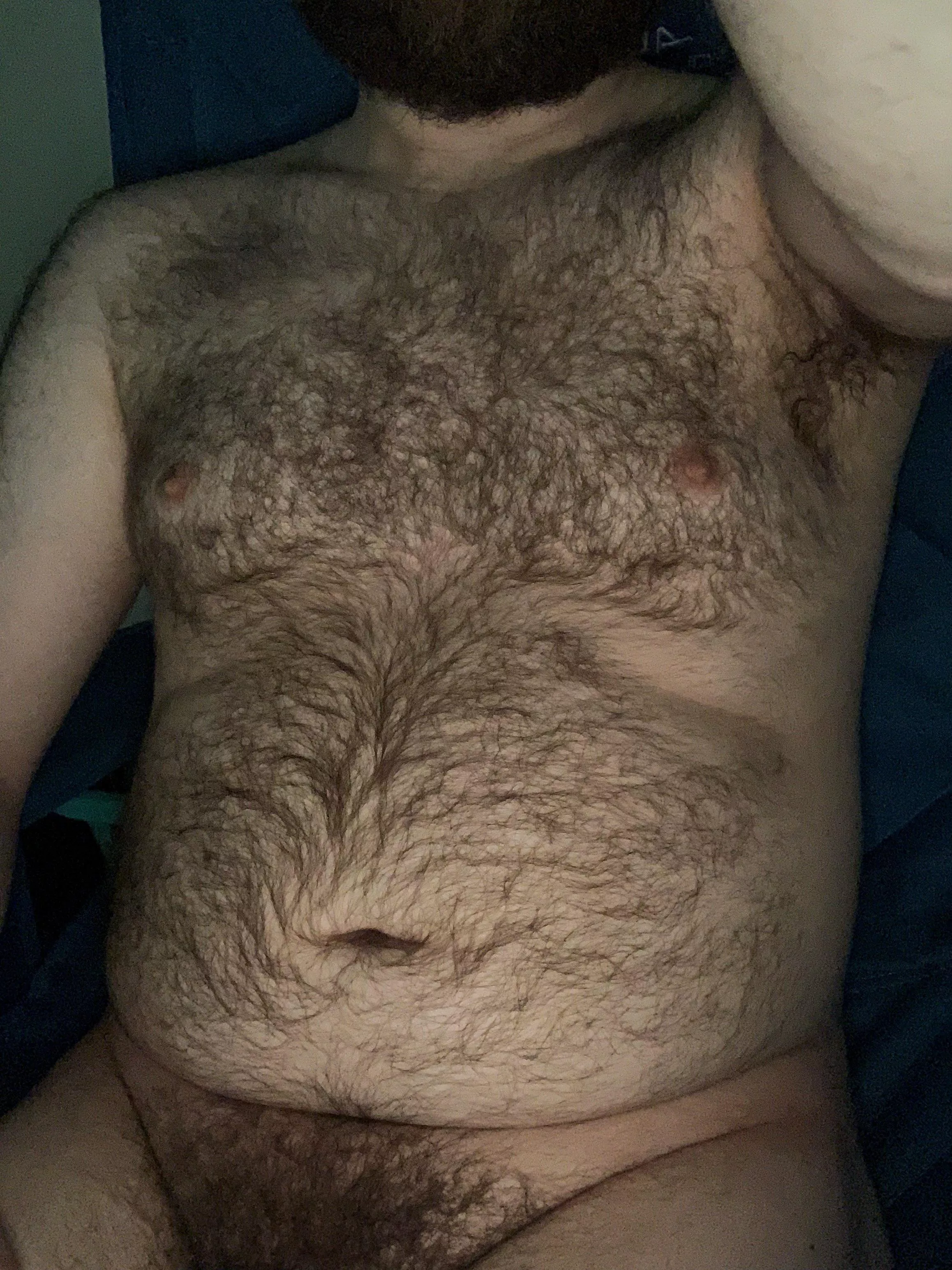 hi hi