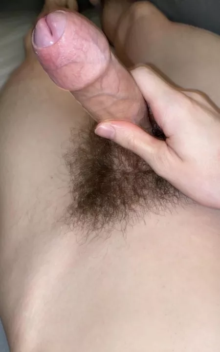 Hi Hi