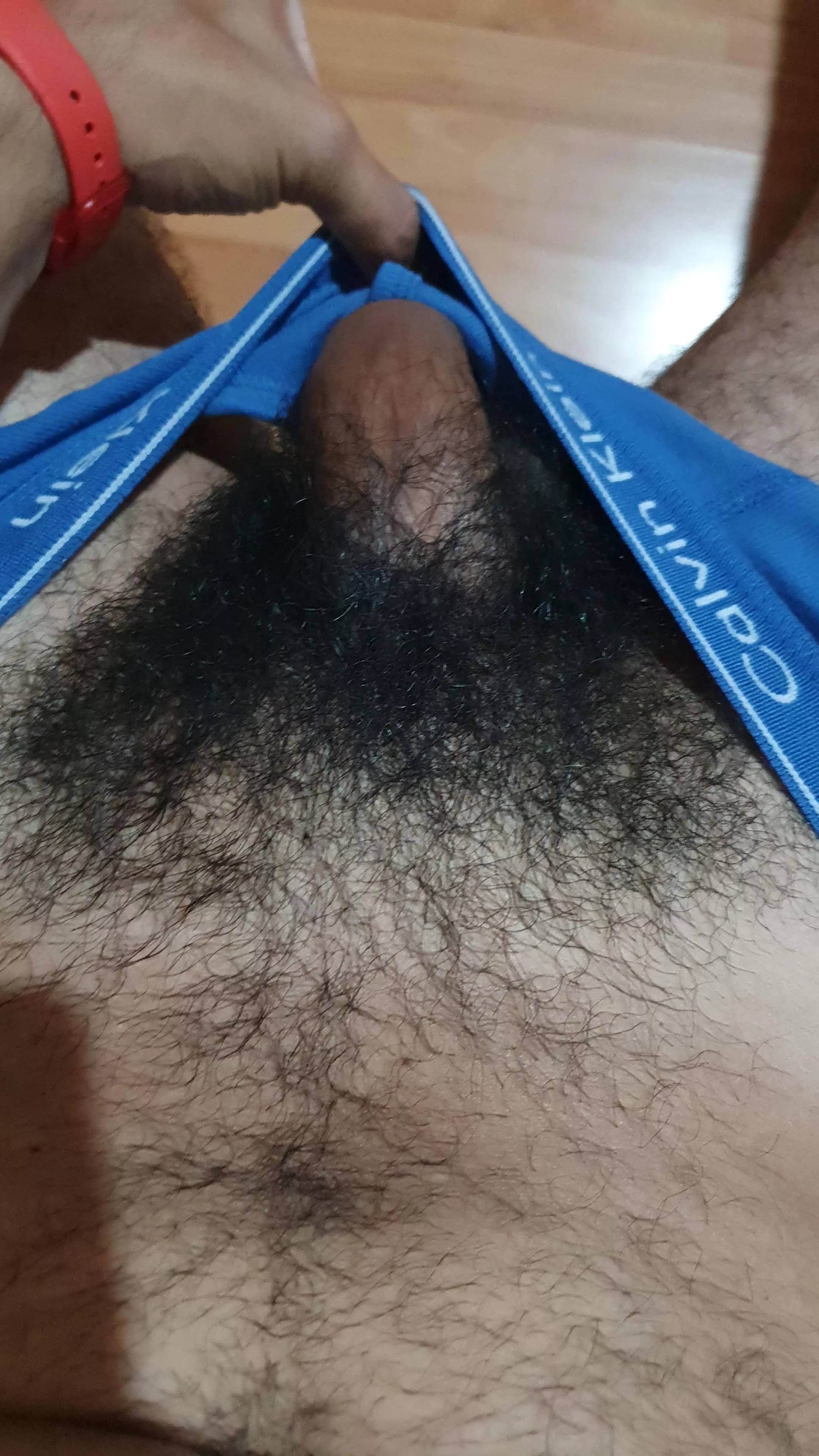 Hi. do you like blue? I am looking for someone to talk and exchange with.I would like to practice my English.