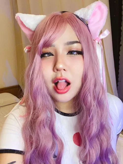 Hi Hi